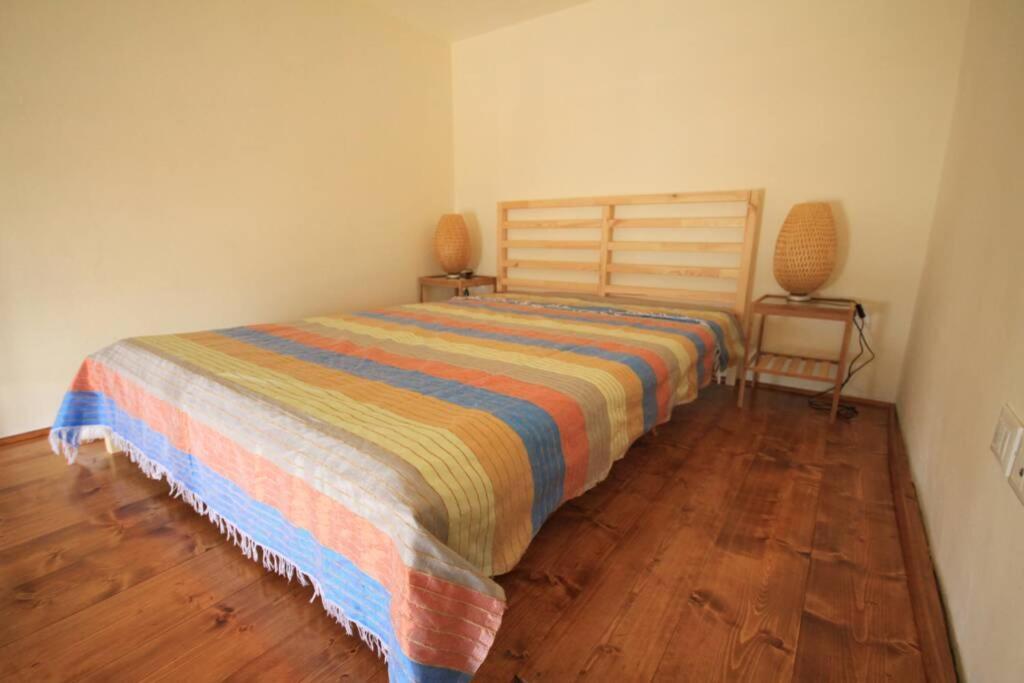 Bilocale Fronte Mare Daire Marina Di Pisa Dış mekan fotoğraf